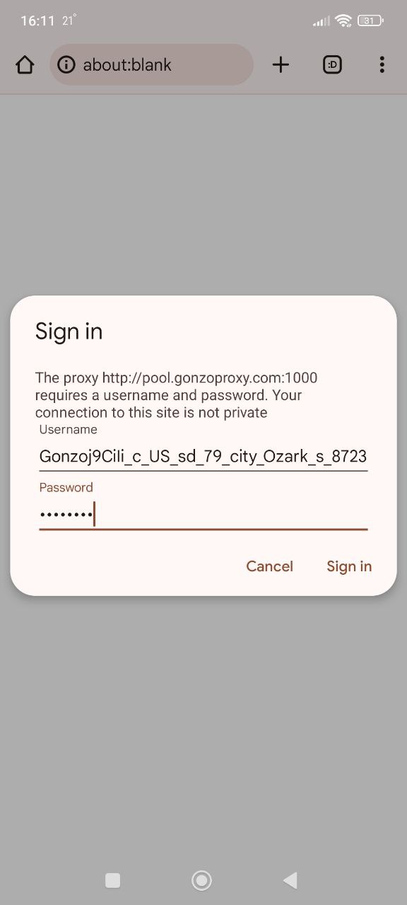 Setting up on Android/iOS (Steam mobile app) — Proxies for Steam: why you need them and how to set them up properly